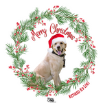 $12 Donation- Handmade Acrylic K9 Christmas Ornaments (Limited Time Only)