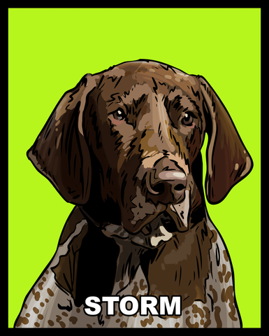 $5 Donation- K9 Storm Sticker