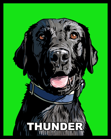 $5 Donation- K9 Thunder Sticker