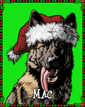 $6 Donation- Limited Edition K9 Mac Christmas Sticker