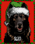 $6 Donation- Limited Edition K9 Rio Christmas Sticker